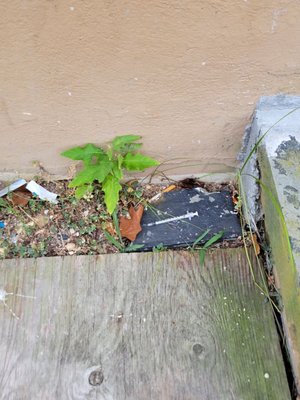 Oh St Joseph Resort Hotel by null