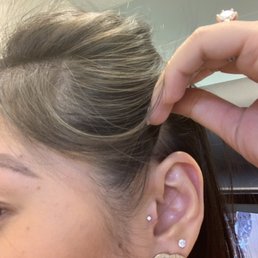 The Tragus earring was $205, $10 for the after care apart bottle and a $35 service fee as well. Total was $250 The Tragus earring was $205, $10 for the after care apart bottle and a $35 service fee as well. Total was $250