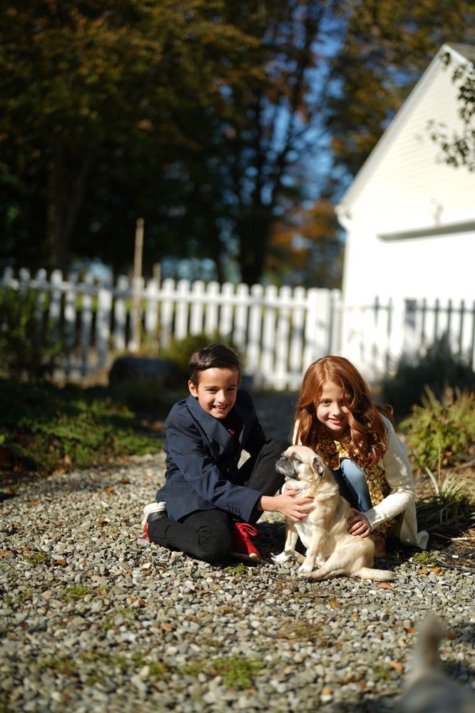 NATIONWIDE PET INSURANCE Updated October 2024 101 Photos & 1214