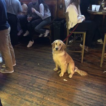 Cody's Public House - Dog! - Dive Bars Near Me - Chicago, Illinois