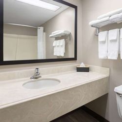 Microtel Inn & Suites by Wyndham Henrietta/Rochester - Guest room bath