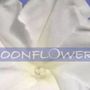 Moonflower - Psychics On Cape Cod