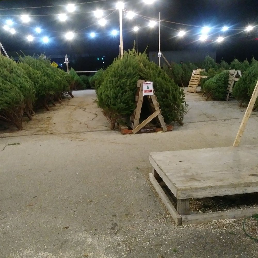 Kenny Alexander's Christmas Trees - Holiday Decorations Near Me - Hatboro, Pennsylvania