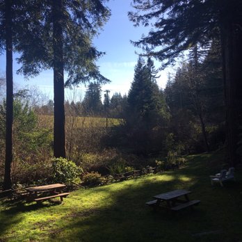 Beauregard Vineyards - Picturesque backyard - Wineries Near Me - Bonny Doon, California Beauregard Vineyards - Picturesque backyard - Wineries Near Me - Bonny Doon, California