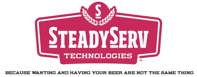 Steadyserv Technologies Logo