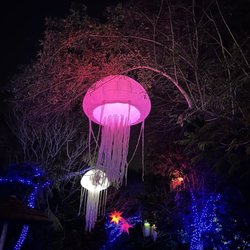 Zoo Miami - Zoo lights night 2024 under the sea theme !!