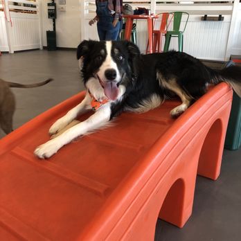 Barx Parx - Pet Training Near Me - Las Vegas, Nevada