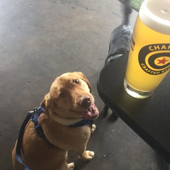 Chapman Crafted Beer - Breweries Near Me - Orange, California