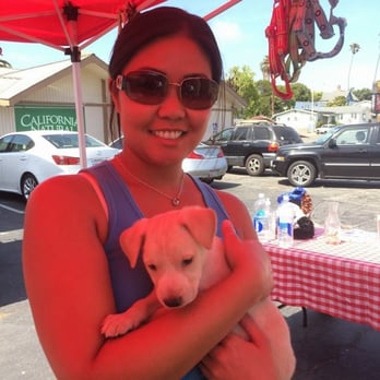 The Lovejoy Foundation - With my puppy Pinto! - Pet Adoption Near Me - Inglewood, California The Lovejoy Foundation - With my puppy Pinto! - Pet Adoption Near Me - Inglewood, California