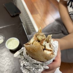 Wrap N Roll - Paneer Roll
