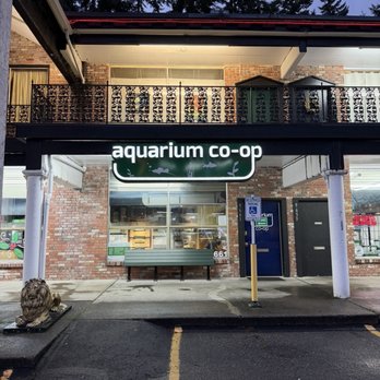 Aquarium Co-Op - Aquarium Services Near Me - Edmonds, Washington
