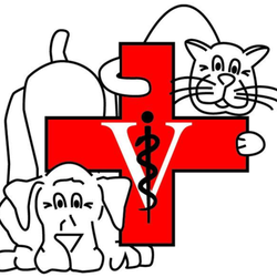 Animal Hospital of Newton Conover - untitled