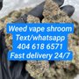 Sunnyside Cannabis Dispensary - Champaign