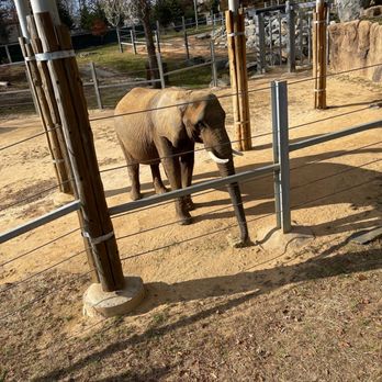 Maryland Zoo in Baltimore - Zoos Near Me - Baltimore, Maryland