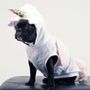 Photo of Sandwich Animal Hospital