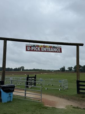 Southern Belle Farm by null