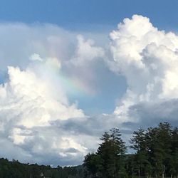 Ana Zick, LMHC - Lotus Heart Center - Angels everywhere! New Hampshire gathering.