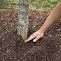 Photo of Ohio Mulch