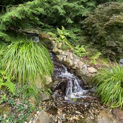 Gardening Thyme - Woodland Waterfall Design