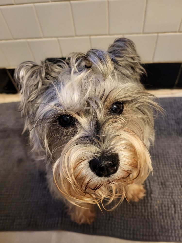 PetEx pet sitting services - pet boarding facility in Wallingford, CT