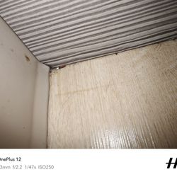 WoodSpring Suites Seattle Tukwila - Filth on the floor in main living area