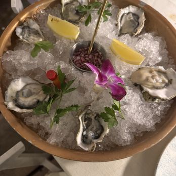 ELIA - Oysters - Greek Near Me - Walnut Creek, California ELIA - Oysters - Greek Near Me - Walnut Creek, California