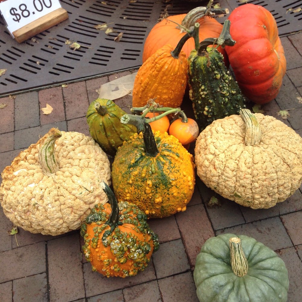 Dane County Farmers' Market - Relatives of the great pumpkin, Charlie Brown. - Farmers Market Near Me - Madison, Wisconsin Dane County Farmers' Market - Relatives of the great pumpkin, Charlie Brown. - Farmers Market Near Me - Madison, Wisconsin