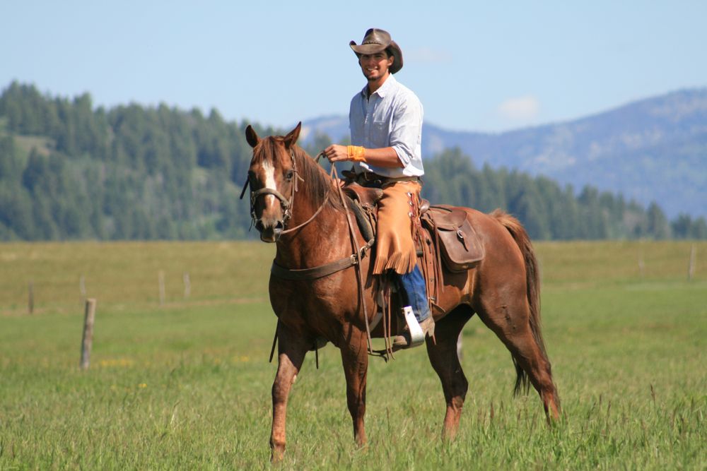 Yellowstone Horses at Eagle Ridge Ranch Logo