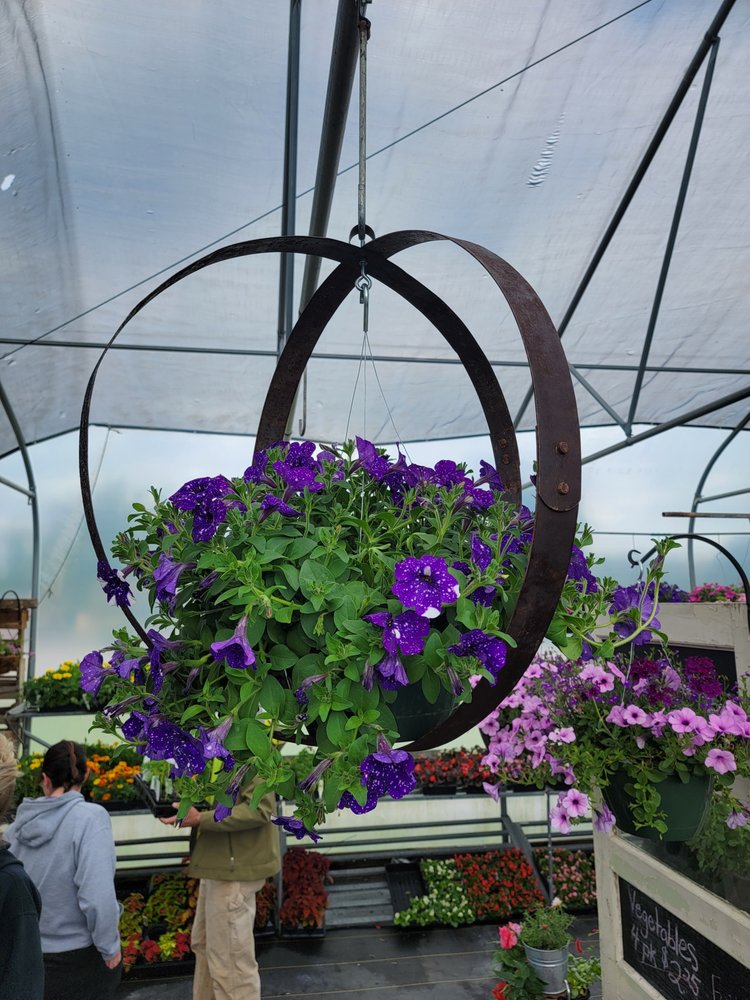 MARIGOLD’S BYBEE GREENHOUSE Updated August 2024 20 Bybee Lp, Waco