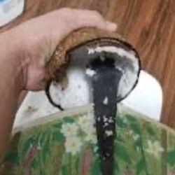 Western Pacific Filipino Grocery - Coconut grater