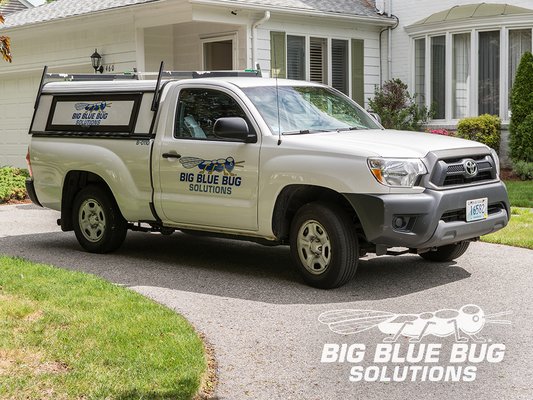 Big Blue Bug Solutions by null