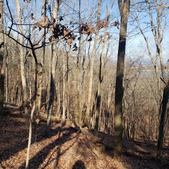 Panther Creek State Park - View from the overlook trail - Hiking Near Me - Morristown, Tennessee