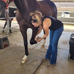 Sonoran Animal Chiropractic