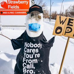 Strawberry Fields Cannabis Denver - Strawberry Fields Recreational/Medical Dispensary Denver, Colorado.