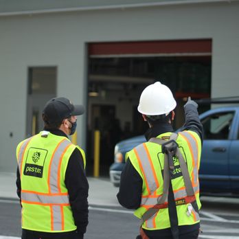 Pestec - Technicians discussing bird control - Pest Control Near Me - San Francisco, California Pestec - Technicians discussing bird control - Pest Control Near Me - San Francisco, California