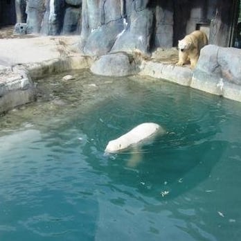 Toronto Zoo - Zoos Near Me - Toronto, Ontario Toronto Zoo - Zoos Near Me - Toronto, Ontario