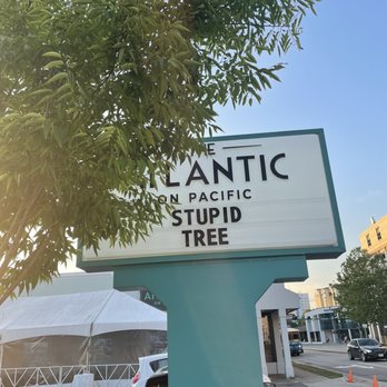 The Atlantic - Stupid tree - Seafood Near Me - Virginia Beach, Virginia