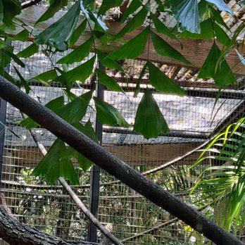 Brevard Zoo - Nothing here. - Zoos Near Me - Melbourne, Florida Brevard Zoo - Nothing here. - Zoos Near Me - Melbourne, Florida