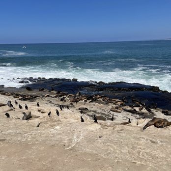 La Jolla Cove - Parks Near Me - La Jolla, California La Jolla Cove - Parks Near Me - La Jolla, California