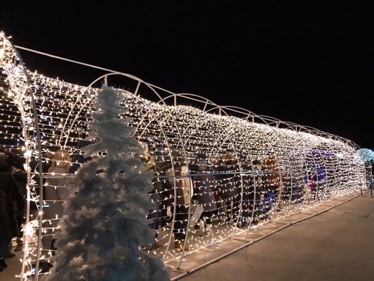 Aurora Winter Festival by null