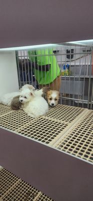 PETLAND KENNESAW - Updated January 2026 - 129 Photos & 186 Reviews