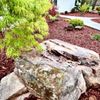 Hewitt Garden & Design Center gift card