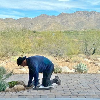 Desert Shield Pest Control - Pest Control Near Me