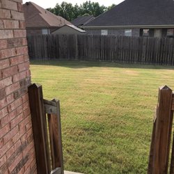 Handyman Lawn Care - My backyard a few days after John mowed it , he's prompt every two weeks !!