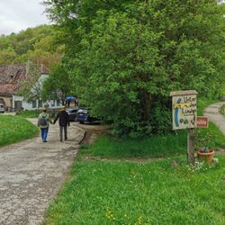 Unter den Linden - Abgang zum Biergarten