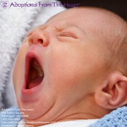 Adoptions From the Heart