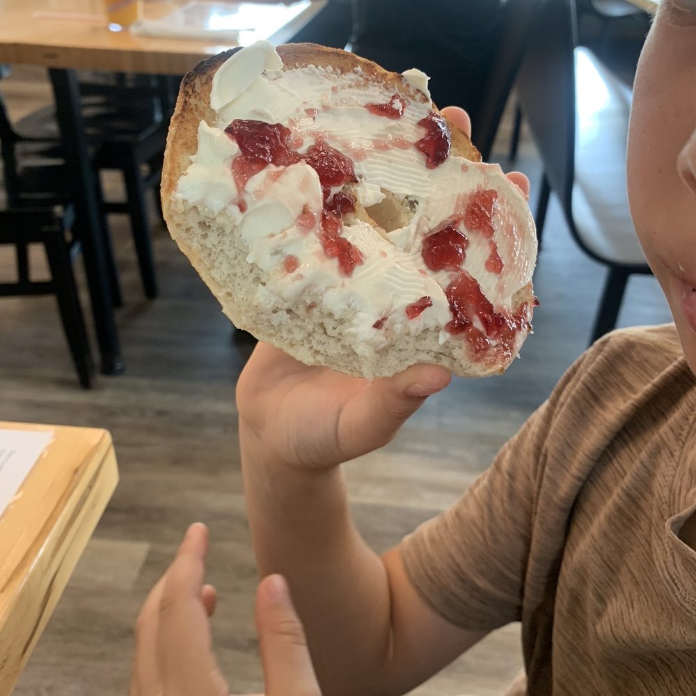 Bagel Bar East - Plain bagel with cream cheese and jelly - Bagels Near Me - North Miami, Florida Bagel Bar East - Plain bagel with cream cheese and jelly - Bagels Near Me - North Miami, Florida