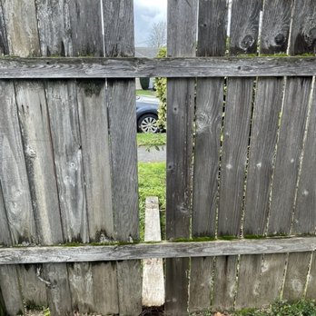 Premier Property Management. - Every fence board was left where it fell - Property Management Near Me - Vancouver, Washington Premier Property Management. - Every fence board was left where it fell - Property Management Near Me - Vancouver, Washington
