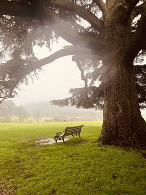Highclere Castle by null