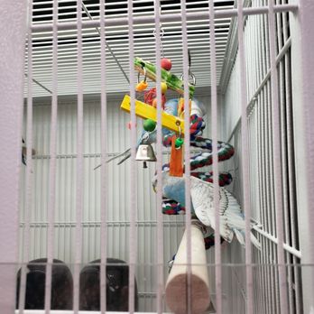 Pet Supplies Plus Surprise - Pet Stores Near Me - Surprise, Arizona Pet Supplies Plus Surprise - Pet Stores Near Me - Surprise, Arizona